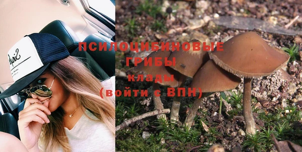 амф Костерёво