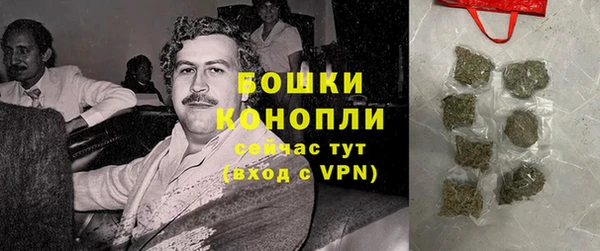 Альфа ПВП Корсаков